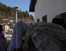 2003 schmotziger egesheim 20110325