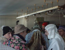 2003 schmotziger egesheim 20110325