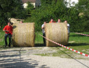 2007 juhegana 20110325