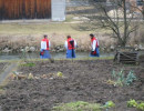 2008 umzug veringenstadt 20110325