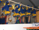 2009 brauchtumsabend bubsheim 20110325