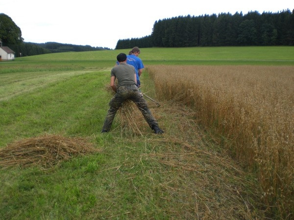 2010 strohschneiden 20110329
