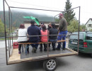 2010 wurstwagen die dritte 20110329