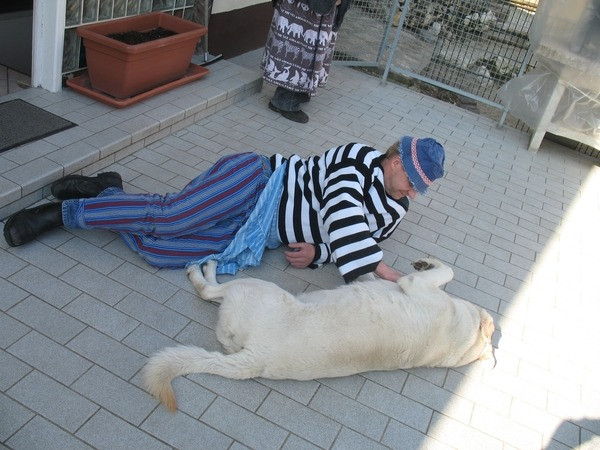 2011 schmotziger egesheim 20110325