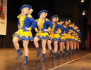 2012 gardewettbewerb frittlingen 20120130
