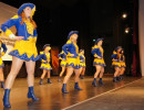 2012 gardewettbewerb frittlingen 20120130