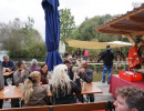 2014 ausflug elferrat 20141014