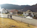 2014 fasnetsbaendel die 2te 20140119