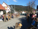 2014 ringtreffen egesheim sonntag 20140225
