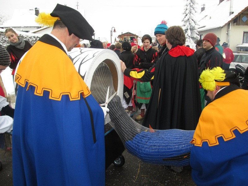 2015 hartheim umzug 20150219
