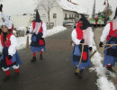 2015 hartheim umzug 20150219
