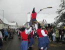 2015 hartheim umzug 20150219