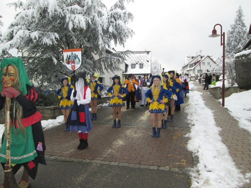 2015 hartheim umzug 20150219