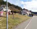 2020 schmotziger egesheim 18 20200326
