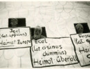 fasnet vor 1985 20120222